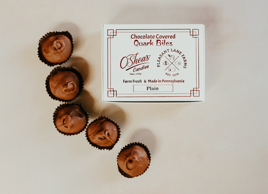 Chocolate Covered Quark Bites (6 pack)