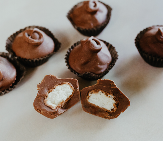 Chocolate Covered Quark Bites (6 pack)